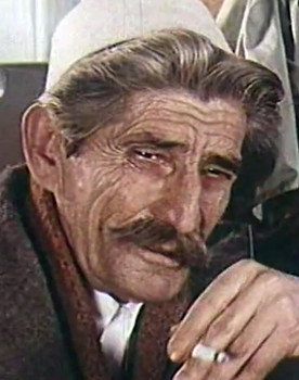 Seit Boshnjaku as Plk. Muller