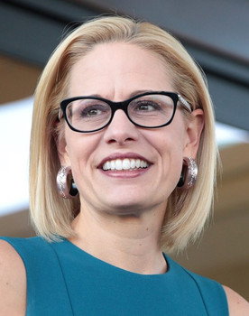 Krysten Sinema as Self
