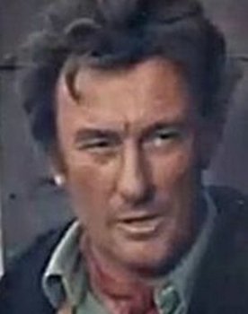 Franco Balducci as Sheriff