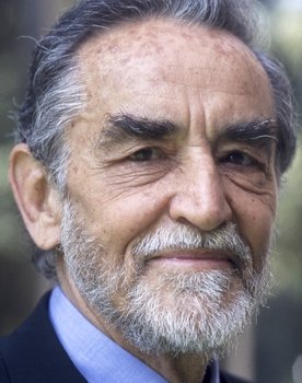 Vittorio Gassman as Guido Guidi