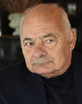 Burt Young as Vincent Domenici