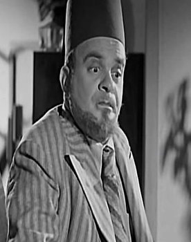 Fauzi ElGazaerli