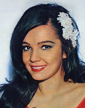 Nilüfer Aydan as 