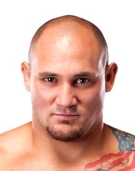 UFC on Fox 6: Johnson vs. Dodson