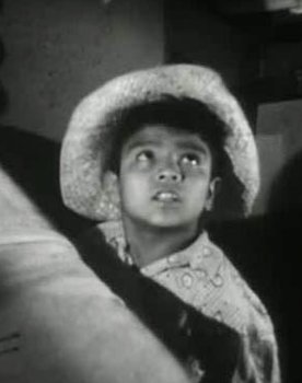 Fernando Alvarado