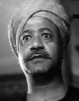 Mohamed Kamel as 