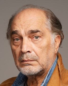 Vojislav Brajović