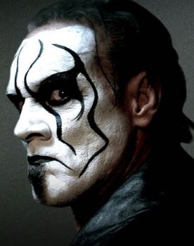 Steve Borden as Sting