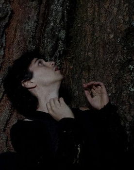 Santiago Sánches Ramírez as Ser