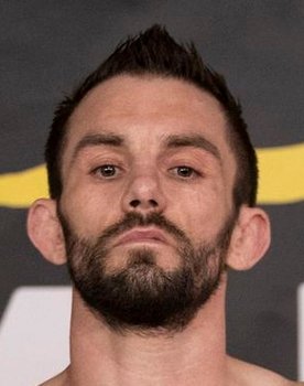 UFC Fight Night 44: Swanson vs. Stephens