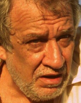 Ricardo Brandão as Congressman