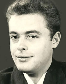 Zoran Stojiljković as Mirko Sokolović