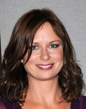 Mary Lynn Rajskub as Sarah