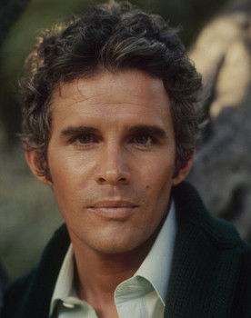 Dack Rambo as David Webb