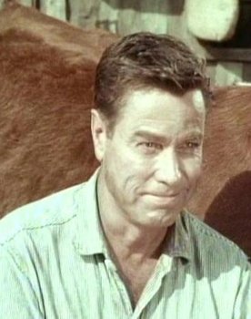 Richard Crane as Dick Sawyer