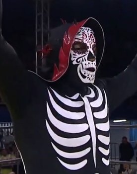 Brazo de Oro Jr. as Brazo de Oro Jr.