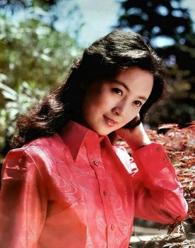 Zhao Jing
