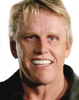 Gary Busey Photo