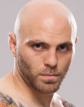 The Ultimate Fighter 13 Finale