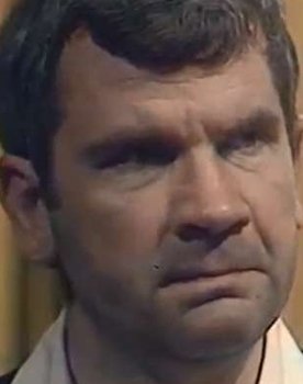 Vladimir Lisetsky as Добчинский