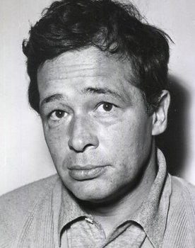 Peter Mosbacher as Robert Halm
