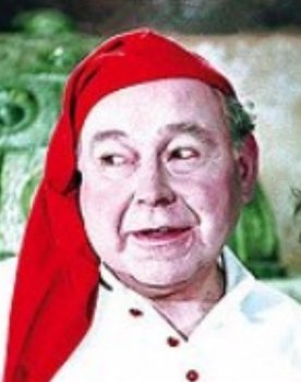 Fritz Schlegel