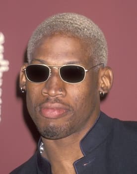 Dennis Rodman as Self