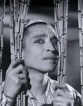 Mounir ElFangary