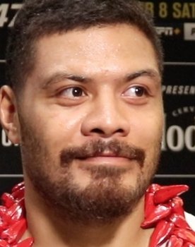 UFC on ABC 1: Holloway vs. Kattar