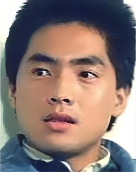 Kung Fu Cock Fighter