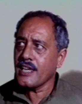 Mokhles ElBehiry