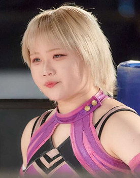 白井理子