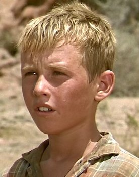 Dandy Curran as Tim Mailer