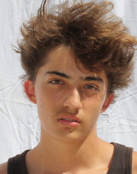 Harceleurs