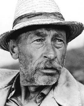 László Bánhidi