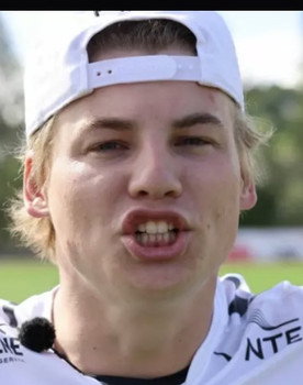 Henrik Viken
