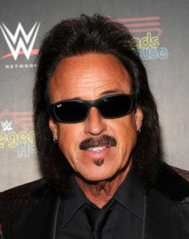 WWE Survivor Series Showdown 1992