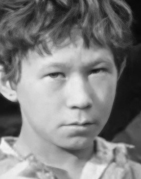 Aleksandr Primako as Misha Korovin
