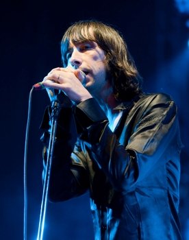 Bobby Gillespie as Self