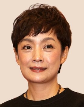 Wang Haiyan as Lan Meiqin