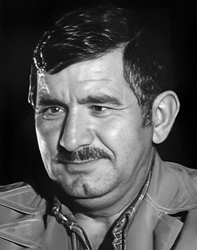Nizam Ergüden