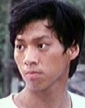 The Incredible Kung Fu Master
