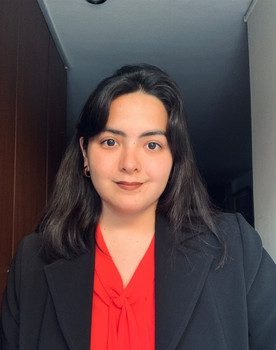 Ariana Andrade Castro