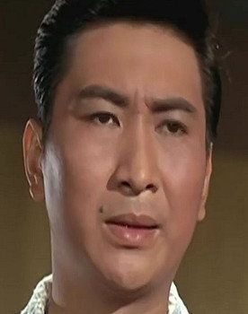 Ding Leung as Lin Hsia-Mu