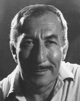 Ali Sururi