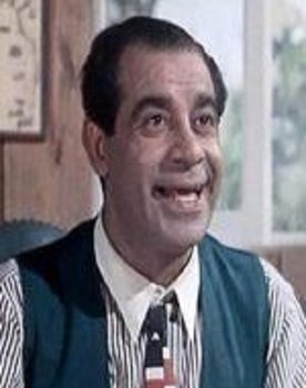 Amin Elheneidy