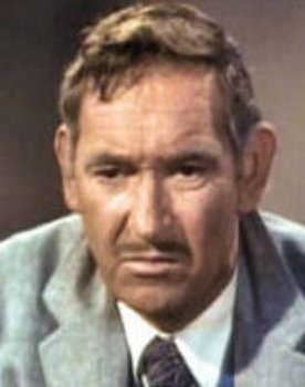 Ken Mayer as Sheriff Blane