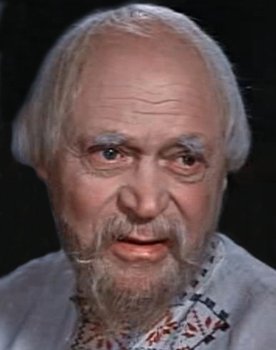 Pavel Pavlenko as (voice)