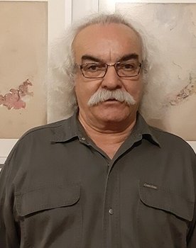 Seyyed Ali Salehi as Mashhad