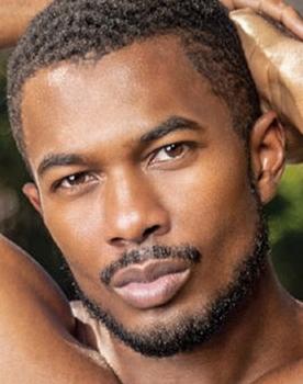 The Sean Xavier Collection